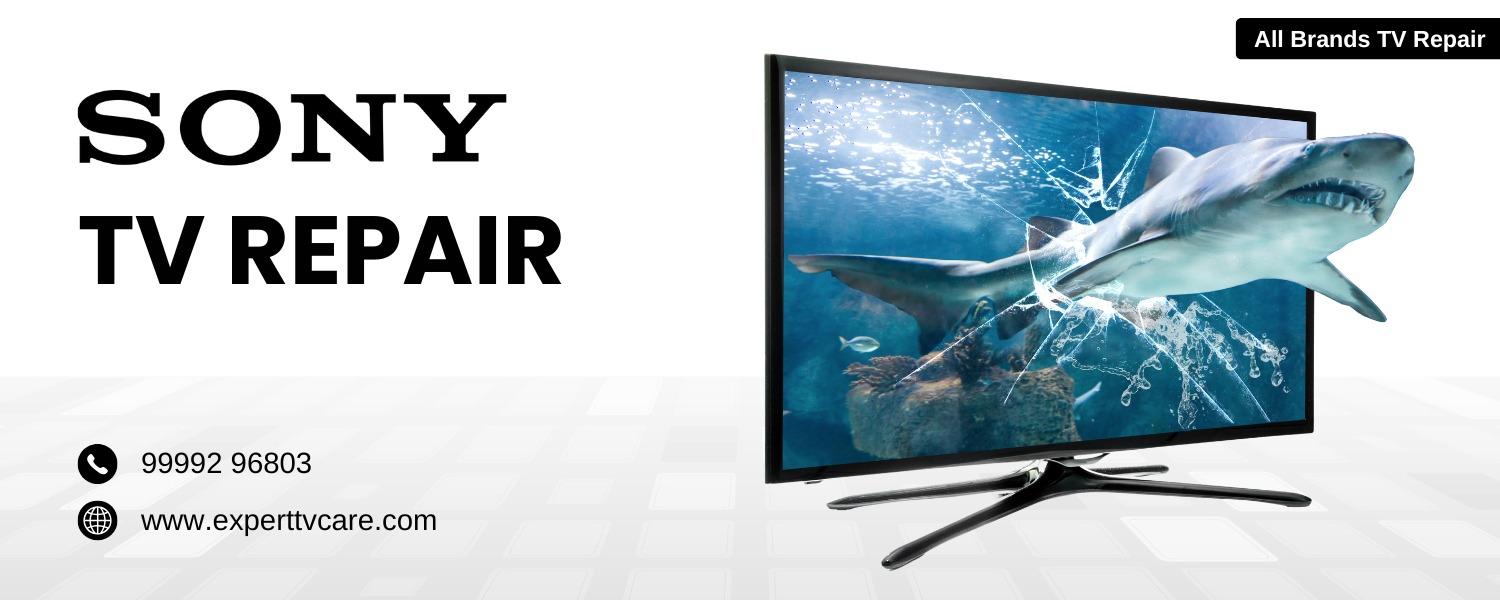 WhatsApp Image 2025-10-09 at 17.09.42